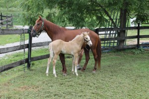 mother and son Princess and Easy