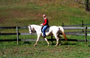 Last Chance Easter Lily